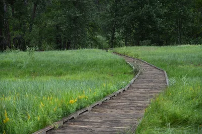 DSC_4641 (Large).JPG